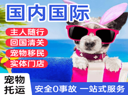 承德空运地址国际宠物托运 【国
